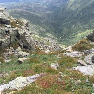 Meet your Posher, Jonah