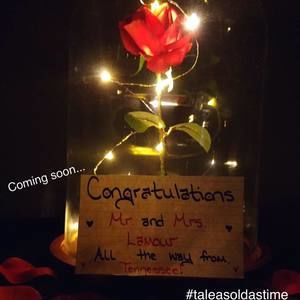 Meet your Posher, Anne