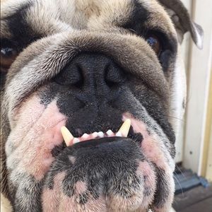 Meet your Posher, Jacob