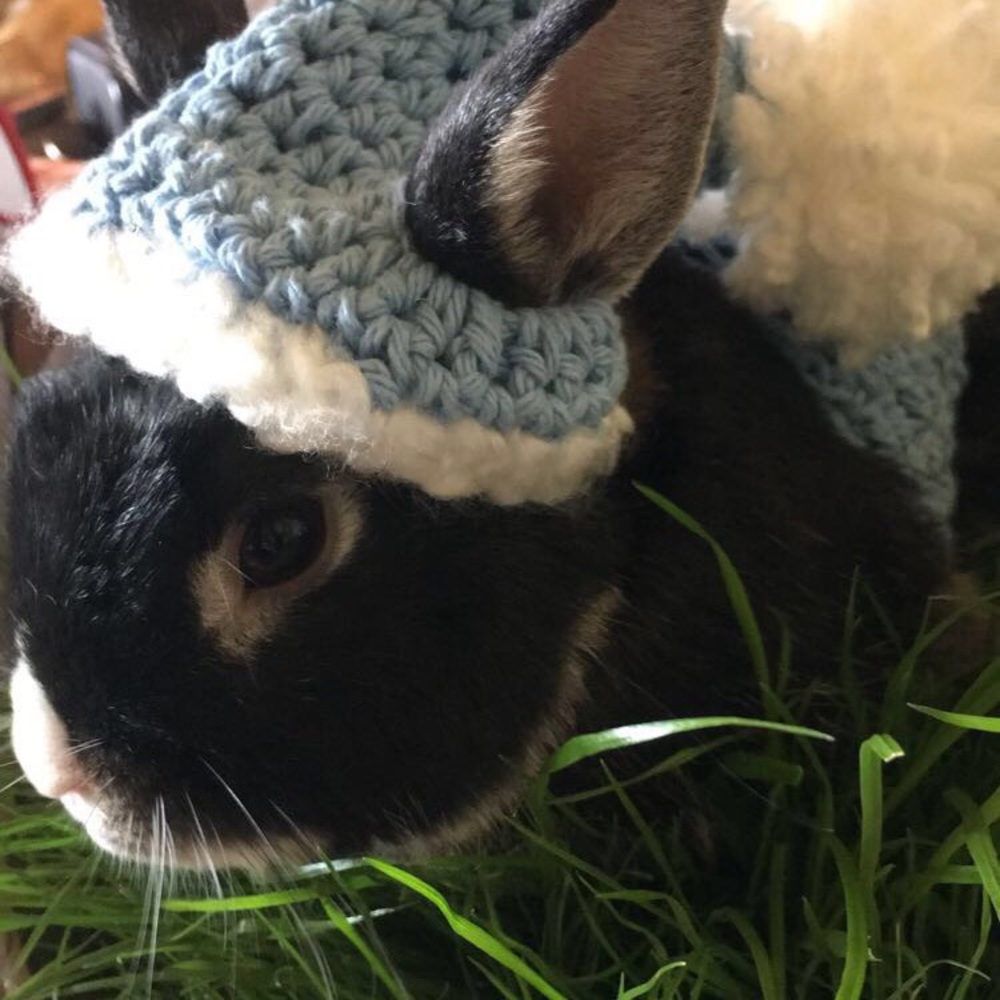 Meet your Posher, Maryanne