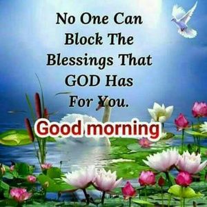 Meet your Posher, Annakay