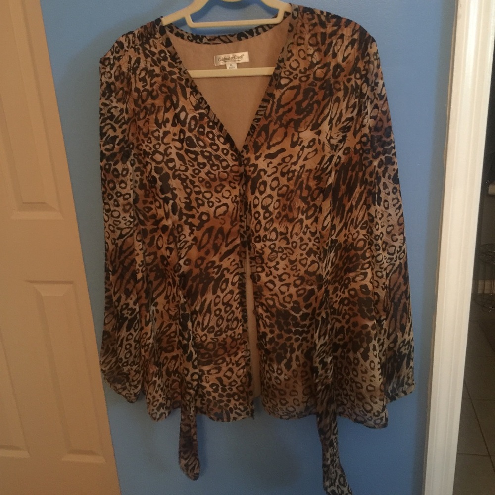 Dressy top