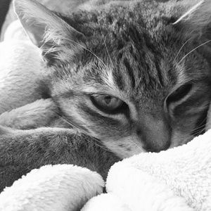 Meet your Posher, Dalena