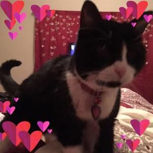 Meet your Posher, Maggie