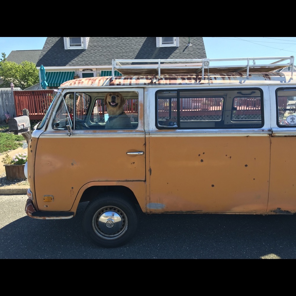 Meet your Posher, Lori