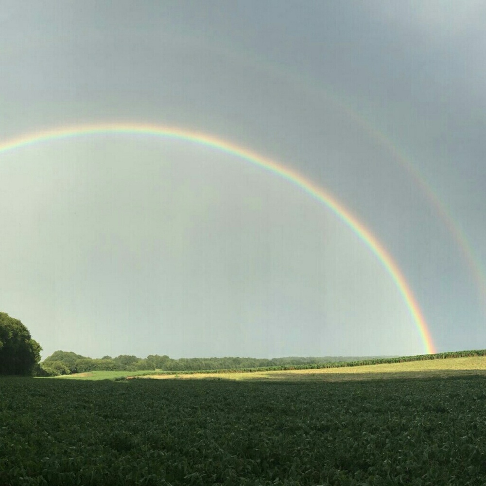 Meet your Posher, Catherine