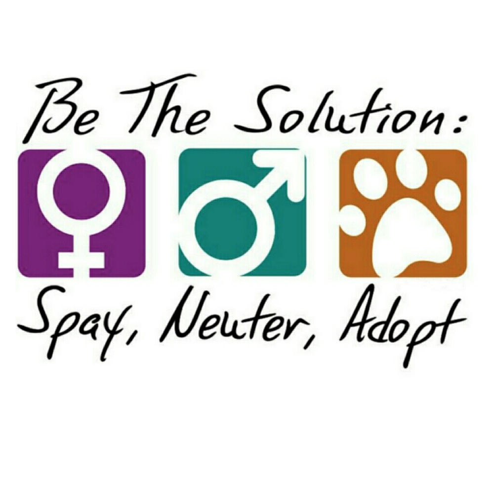 ❤I Support Poshmark Closets with Causes❤ - Picture 3 of 6