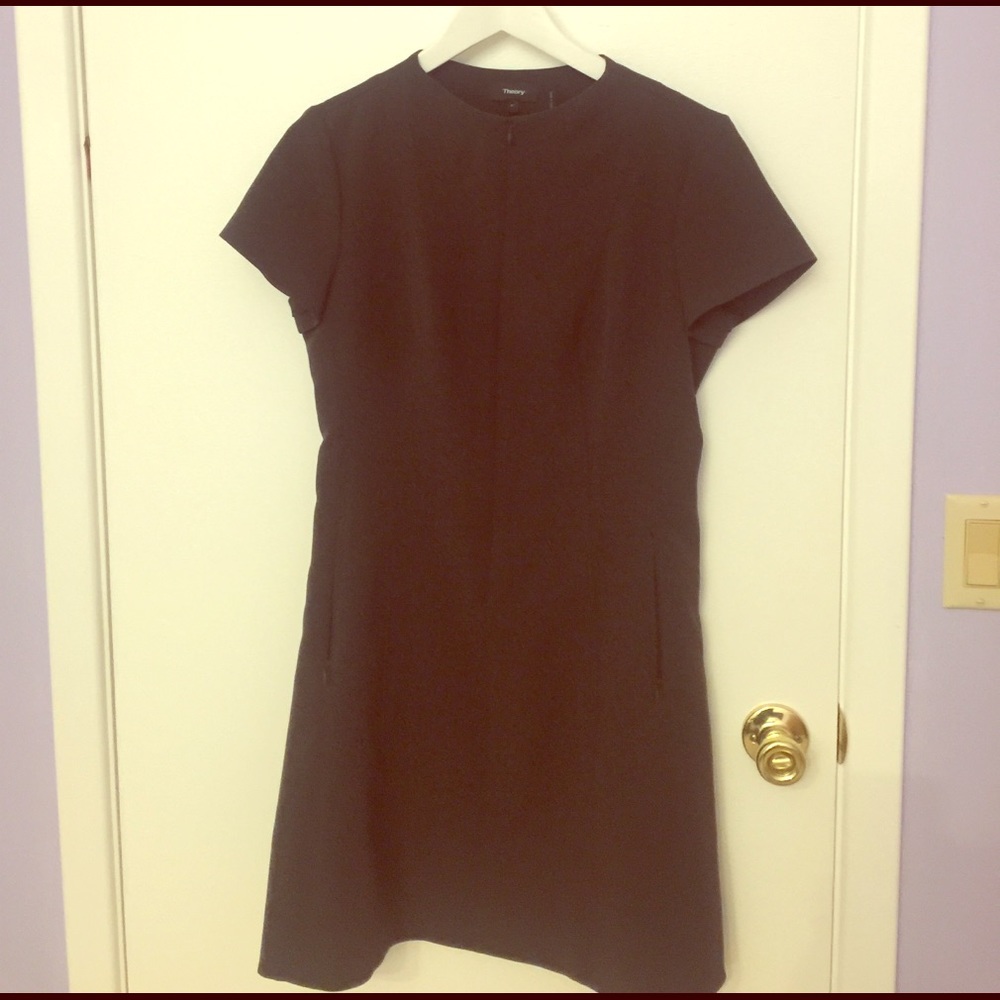 Theory dress