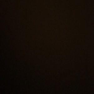 Meet your Posher, Carl