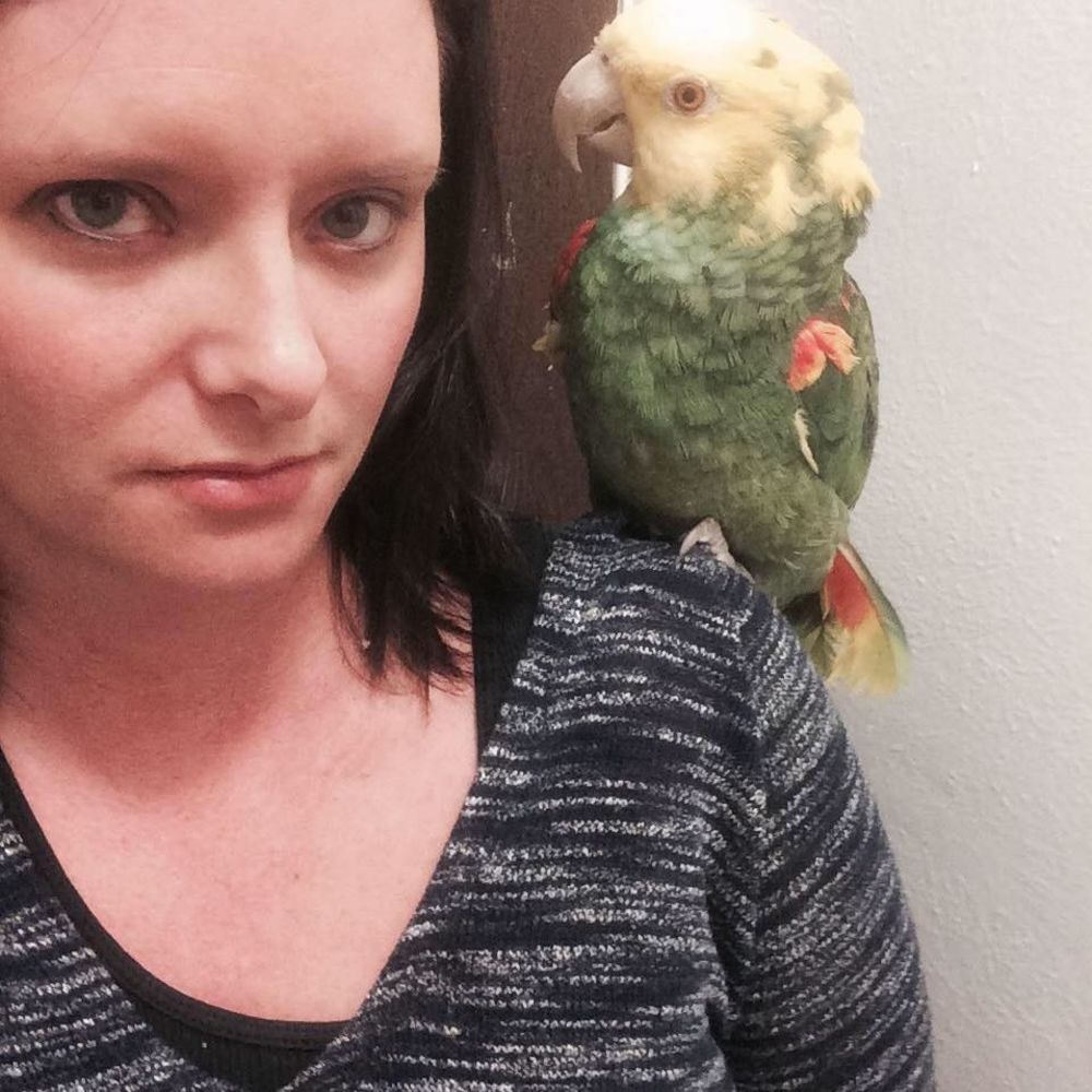 Meet your Posher, Holly