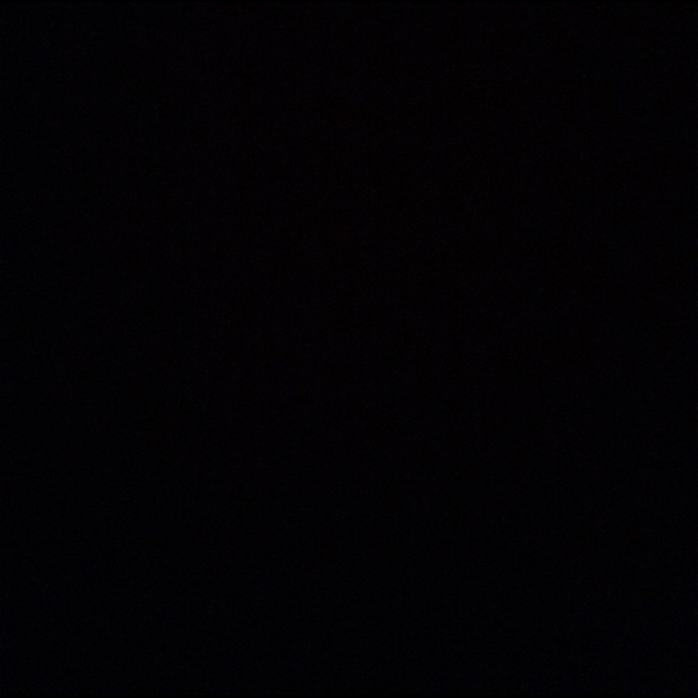 Meet your Posher, Bibi