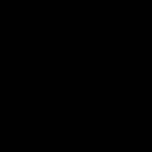 Meet your Posher, Priscilla