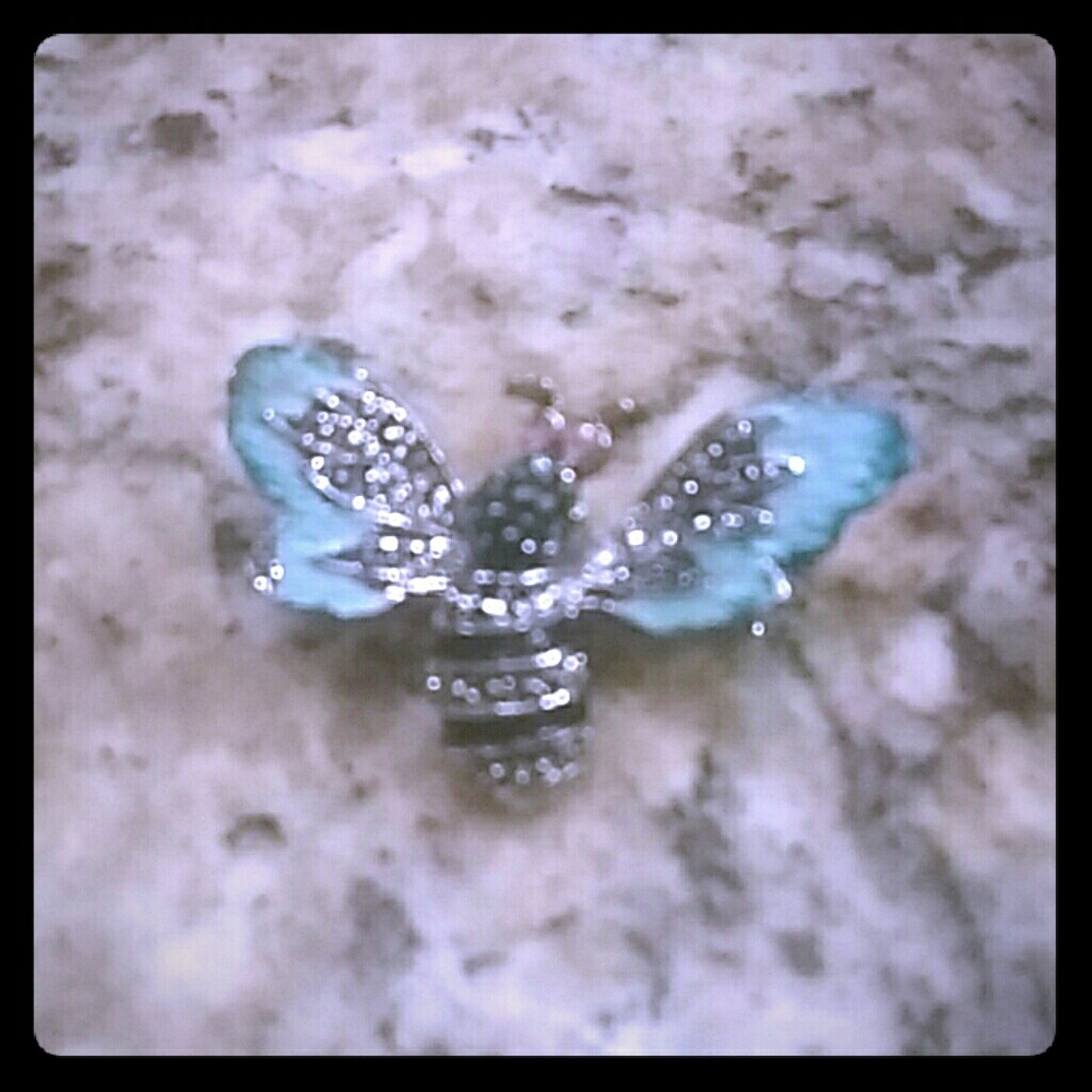 Antique Colorful Pin