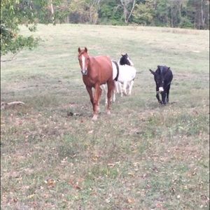 Meet your Posher, Craig