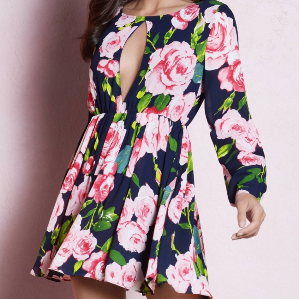 Tobi Infinite Bliss Skater Dress