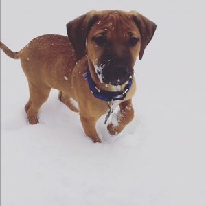 Meet your Posher, Lindsay