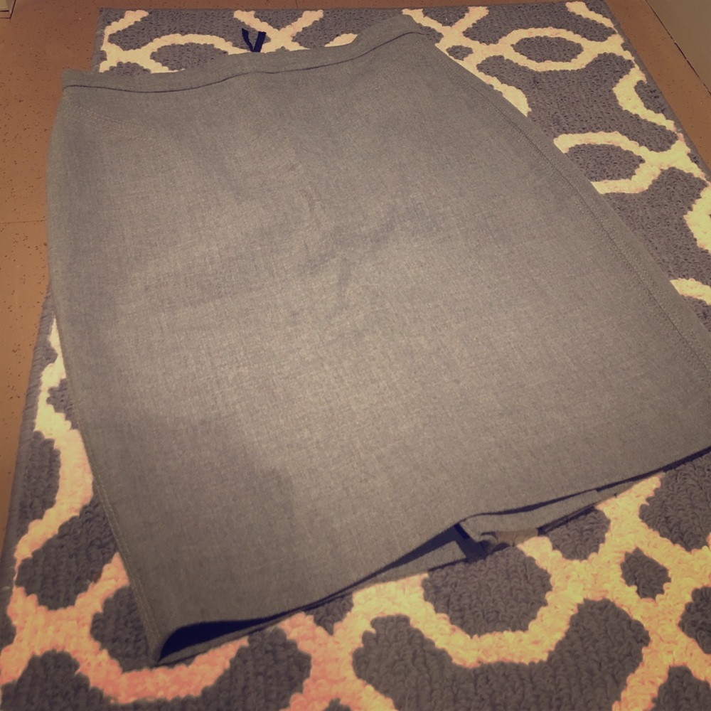Ann Taylor Loft skirt with stitching