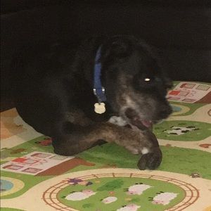 Meet your Posher, Marie