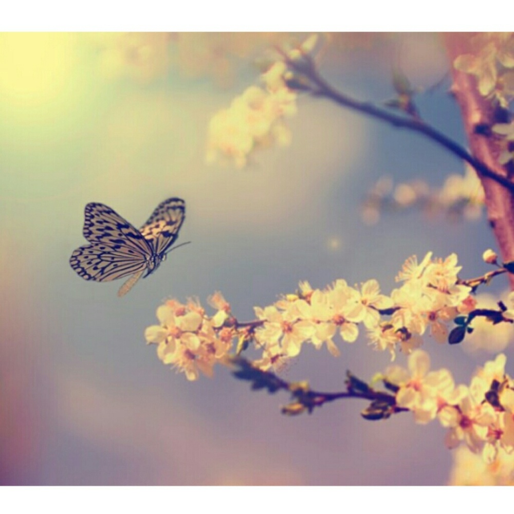 Meet your Posher, Stacy