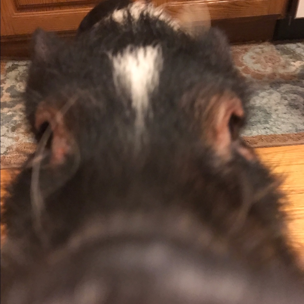 Meet your Posher, Danielle