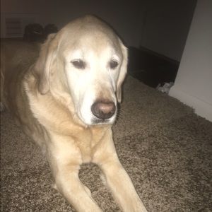 Meet your Posher, Chloe