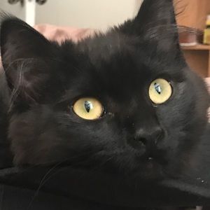 Meet your Posher, Andrew