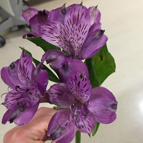 Meet your Posher, L - Picture 1 of 1