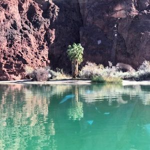 Meet your Posher, Paula