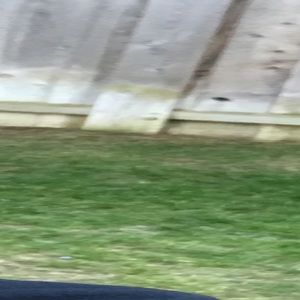 Meet your Posher, Bernard