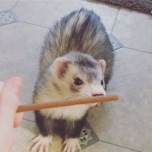 Meet your Posher, Joanna