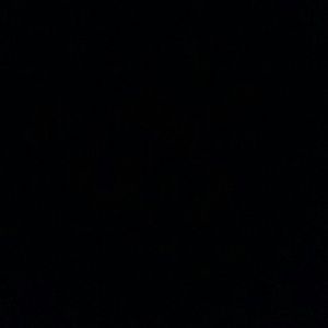 Meet your Posher, Leigh