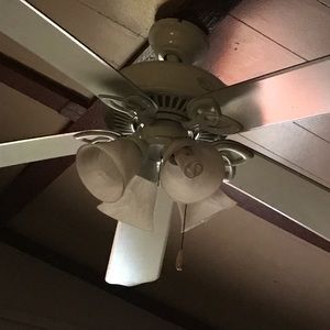 Meet your Posher, Luciana