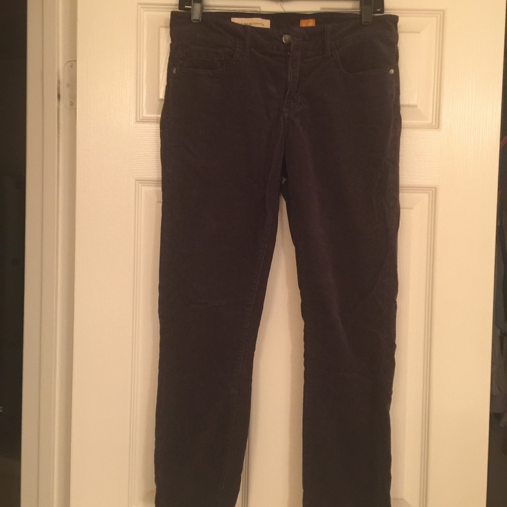 Anthropologie Pilcro and the Letterpress Cords