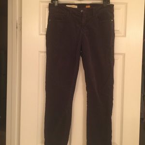 Anthropologie Pilcro and the Letterpress Cords