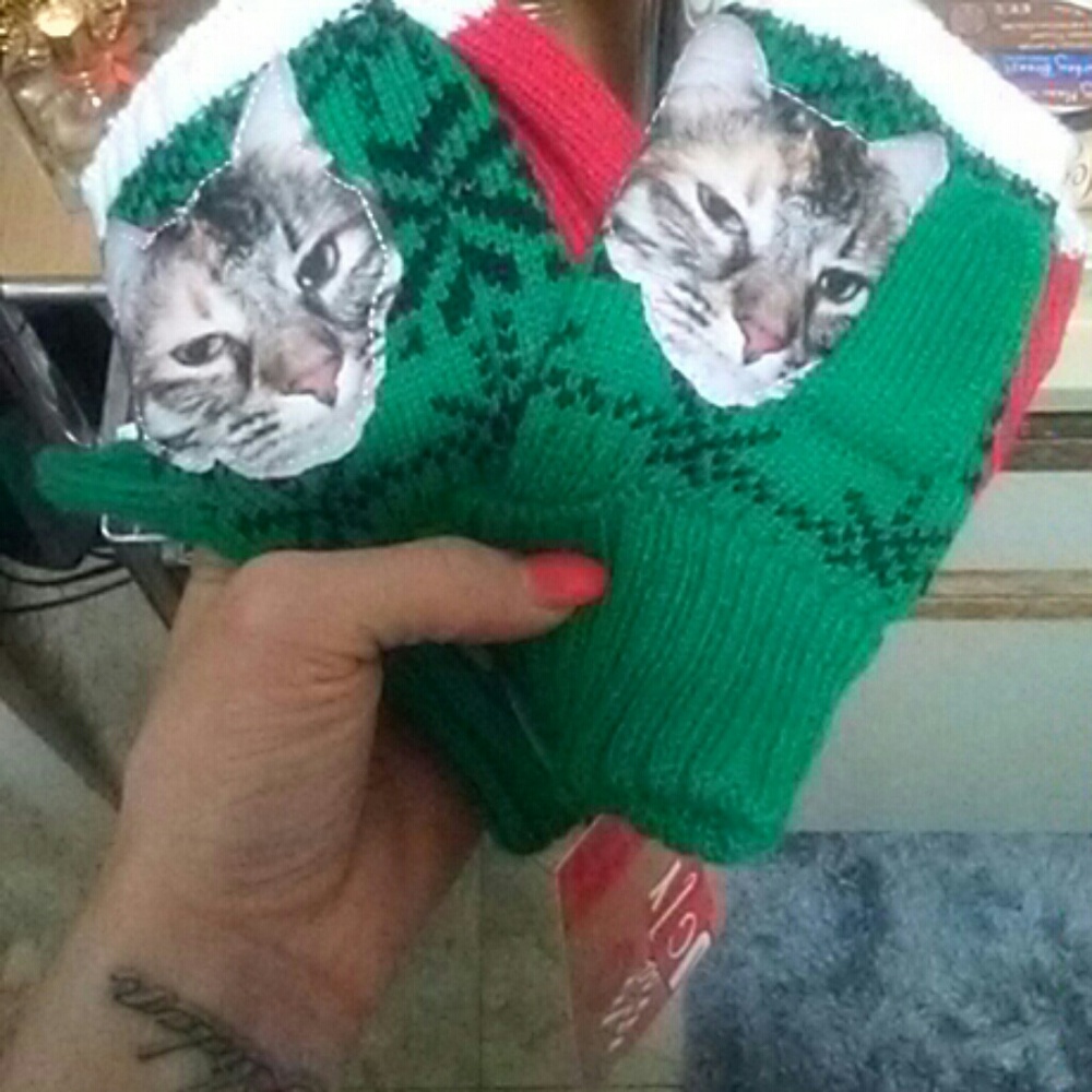 Zumies cat mittens!