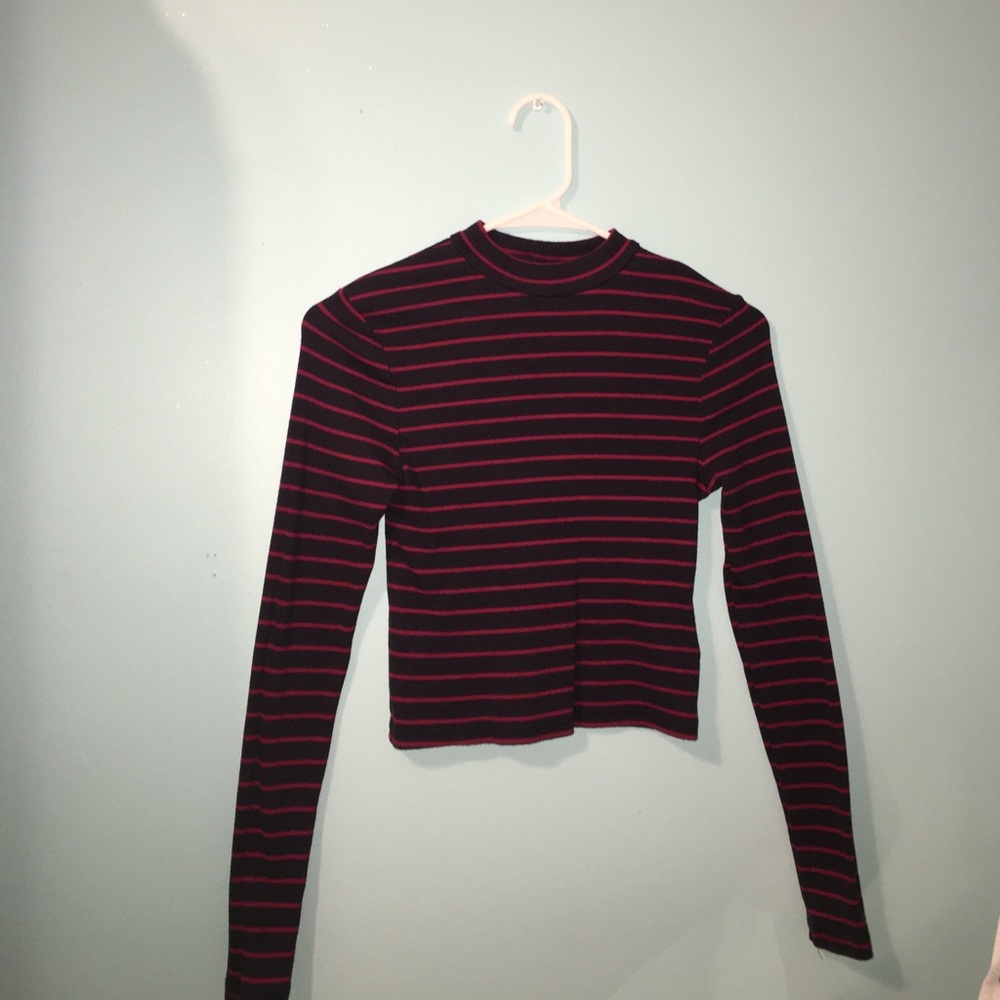 Long sleeved cropped turtle neck