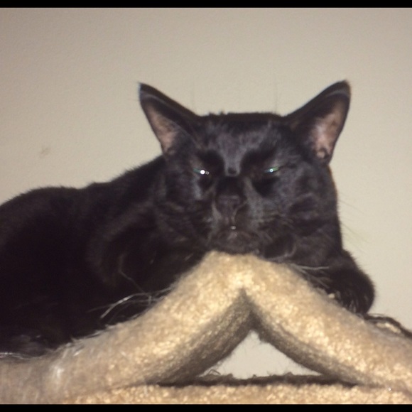 Meet your Posher, Rebecca - Picture 3 of 4