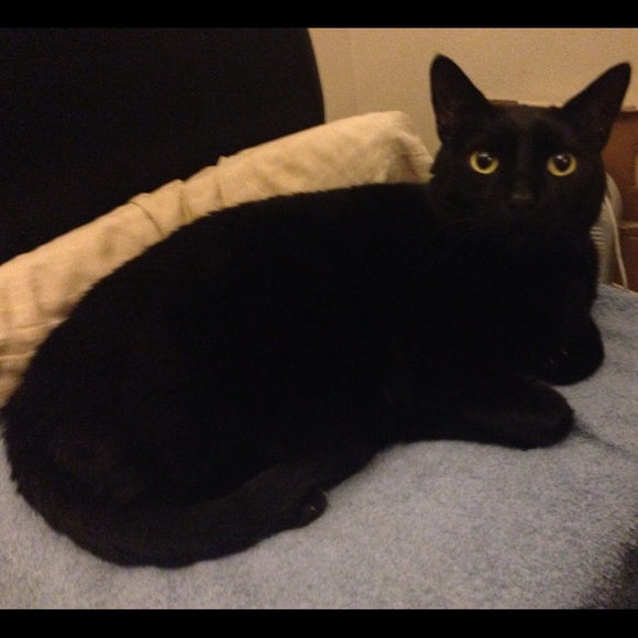 Meet your Posher, Rebecca - Picture 4 of 4