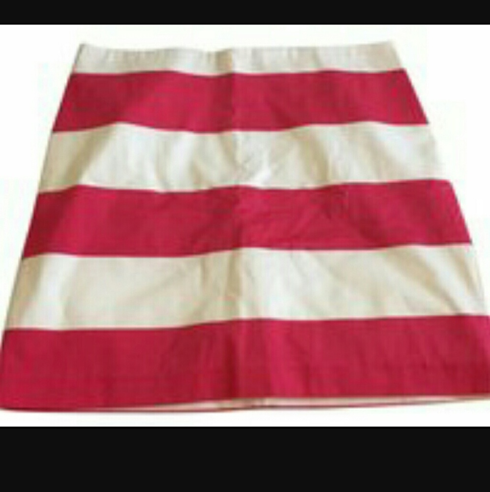 Awning Stripe Skirt
