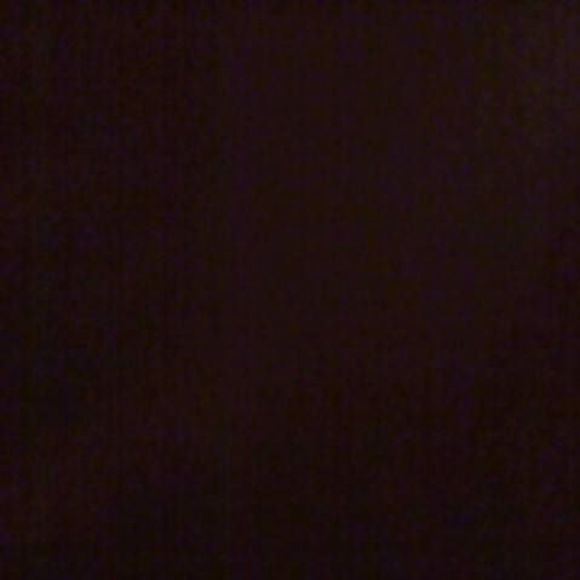 Meet your Posher, Sofia - Picture 1 of 1