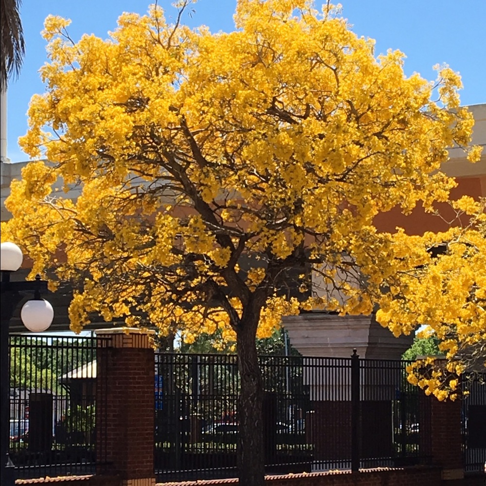 Meet your Posher, Lorna
