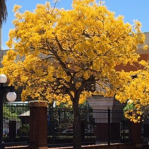 Meet your Posher, Lorna