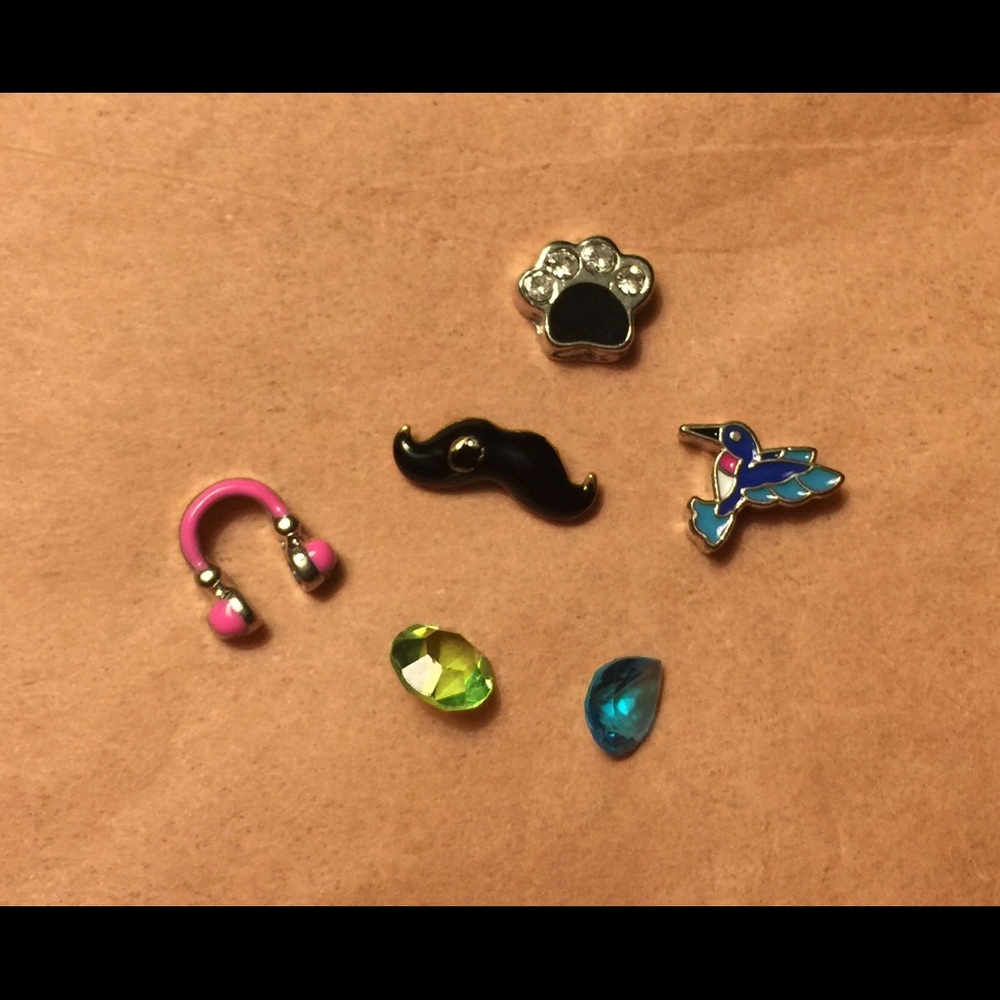 Cute Origami Owl charm bundle!