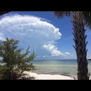 Meet your Posher, Brandy