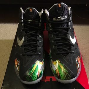 Nike Lebron 11 Everglades