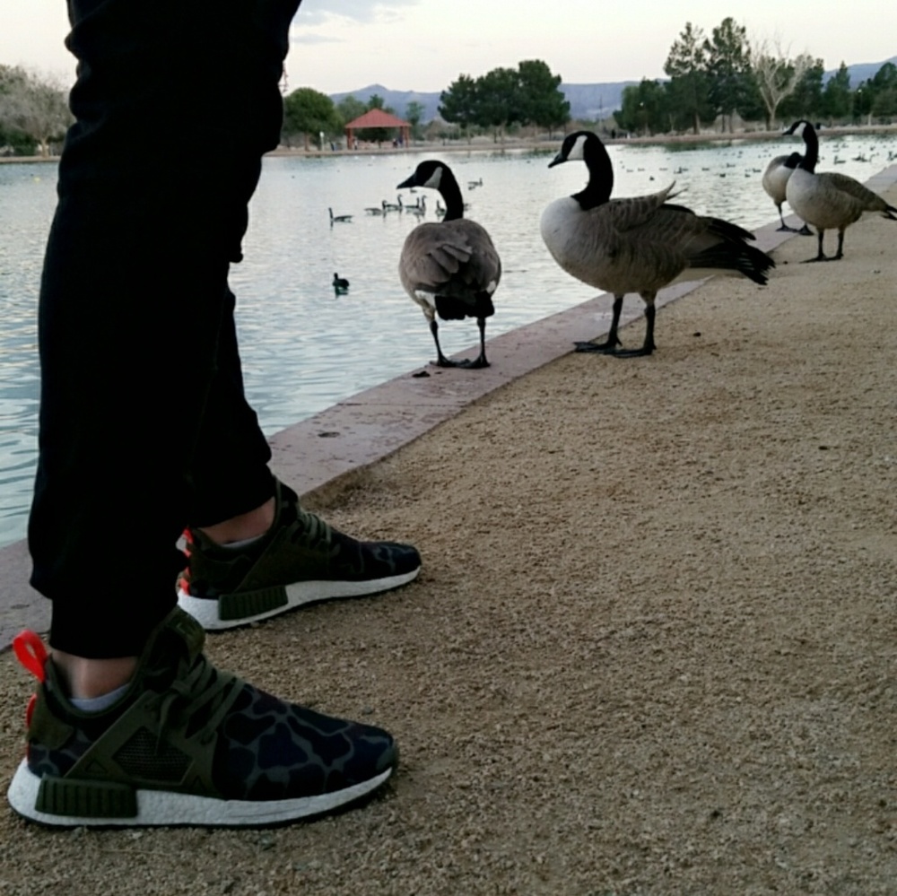 Meet your Posher, Russ