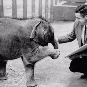 Meet your Posher, Kristal