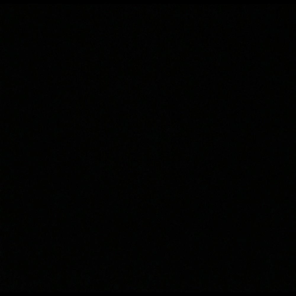 Meet your Posher, Ric