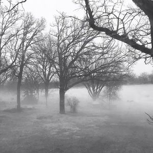 Meet your Posher, Kris