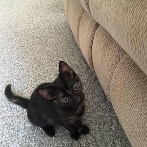 Meet your Posher, Candice